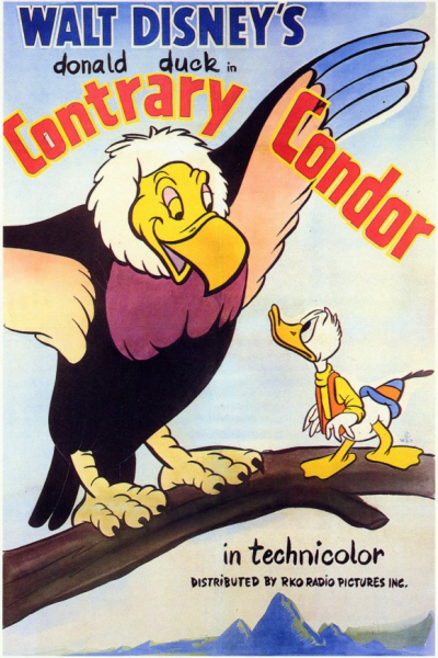 L'uf du Condor Géant