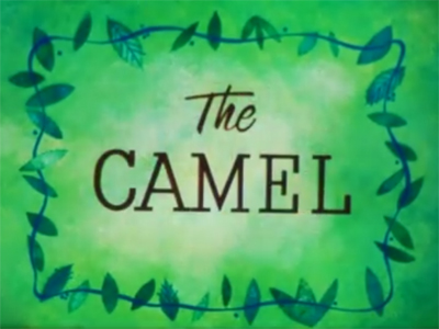 The Nature of Things : The Camel