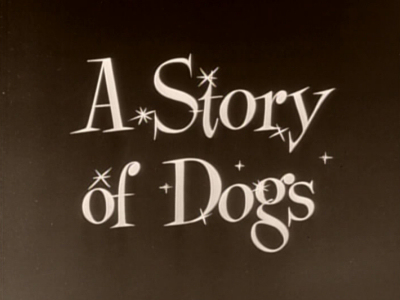 A Story of Dogs