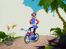 Dingolympic - Le Paracycle [1998]