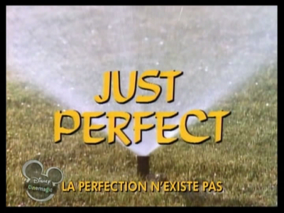 La Perfection nExiste Pas (Just Perfect)