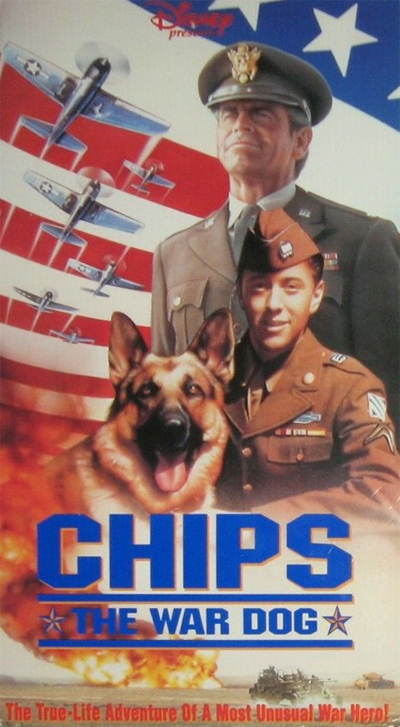Chips, Chien de Combat