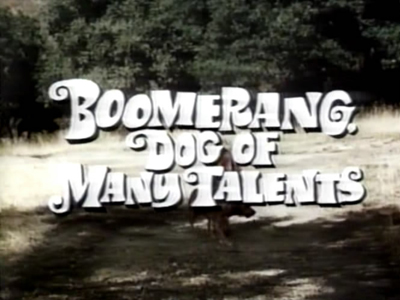 Boomerang Revient Toujours