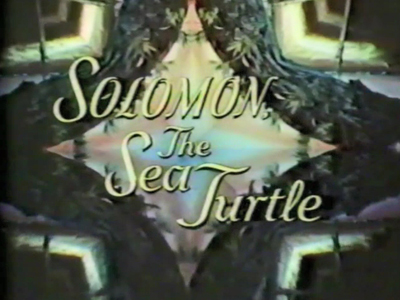 Salomon, la Tortue de Mer