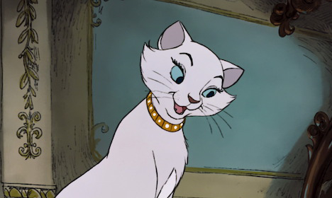Baptisée Duchesse, une chatte met au monde les mêmes chatons que
