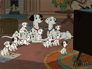 . Liste alphabétique 1961-dalmatiens-2