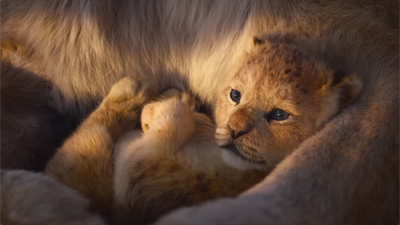 Affiche du film Le roi lion - Tableau cinéma