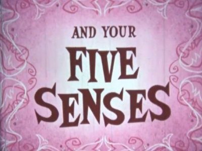 You... and Your Five Senses