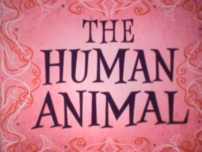 You... The Human Animal