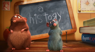 B03. Courts-métrages d'animation - Disney - 1 : Pixar Animation Studios 2007-rat-2
