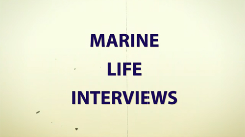 Interviews à l'Institut de Biologie Marine