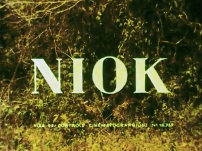Niok l'Éléphant Niok l'Éléphant