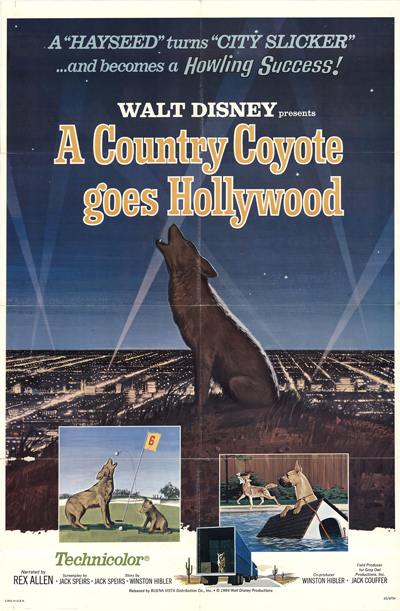 Un Coyote se Rend à Hollywood
