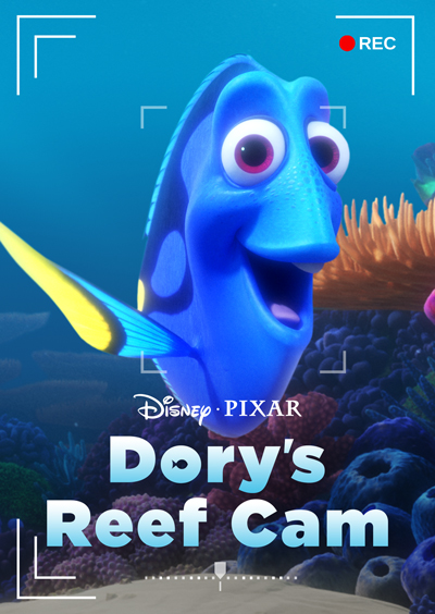 Sous l'Océan Avec Dory