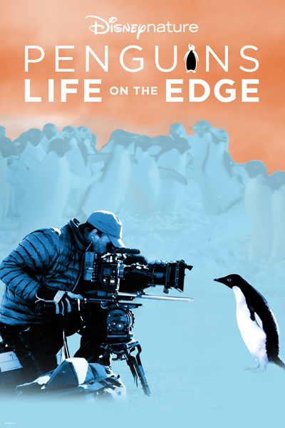 Penguins [Disneynature - 2019] 2020-manchots-risques-01