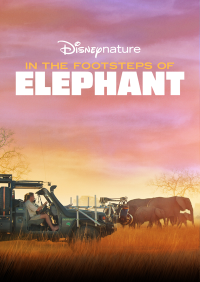 Sur la Route des Éléphants