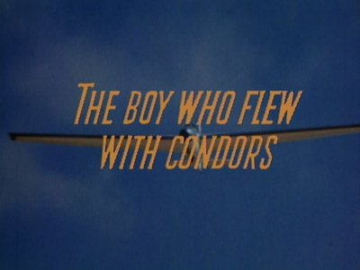 The Boy who Flew with Condors The Boy who Flew with Condors