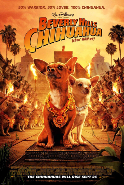 Le Chihuahua de Beverly Hills