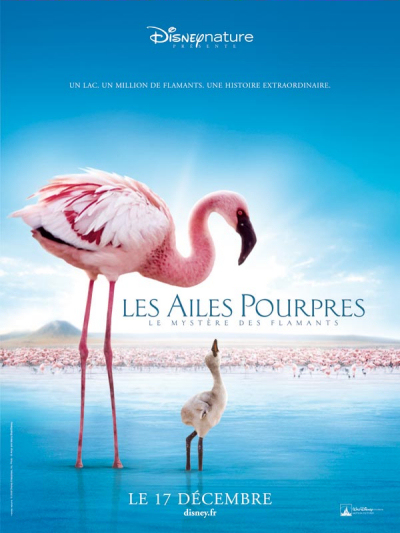 Les Ailes Pourpres, Le Mystère des Flamants