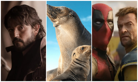 Rebelles, Otaries & Mutants : La Sélection des Nouveautés Disney+ - Image Une