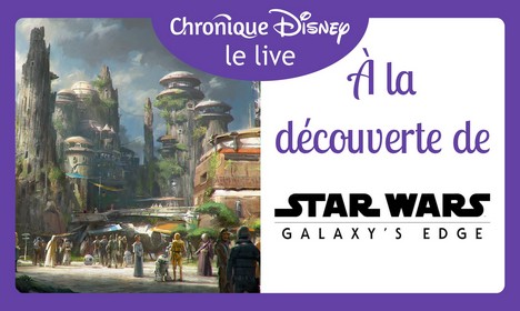 Star Wars: Galaxy's Edge : Critique du Land et de Ses Attractions - Image Une
