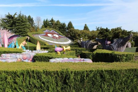 Alice's Curious Labyrinth Alice's Curious Labyrinth