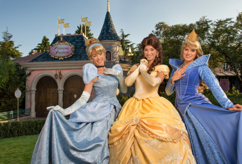 Rideaux Rencontre Princesse Disney -Standard : 180x160 cm