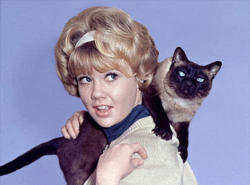 Hayley Mills