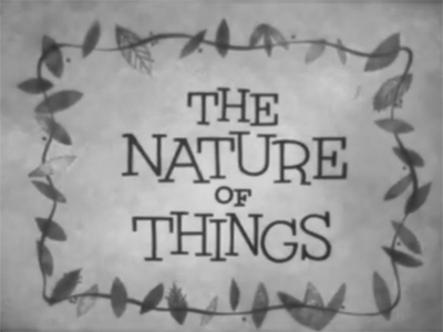 Jiminy Cricket Presents : The Nature of Things