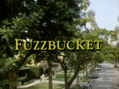 Fuzzbucket, L'Ami Invisible