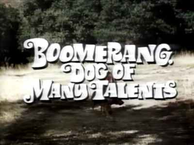 Boomerang Revient Toujours Boomerang Revient Toujours