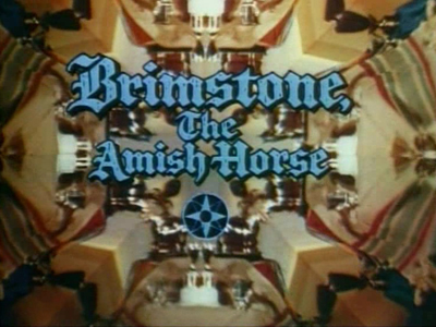 Brimstone, The Amish Horse Brimstone, The Amish Horse