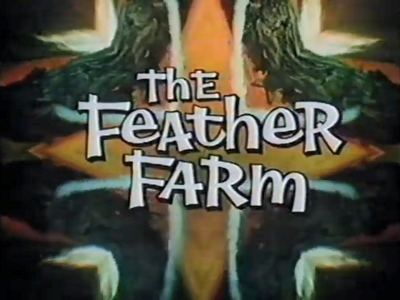 The Feather Farm