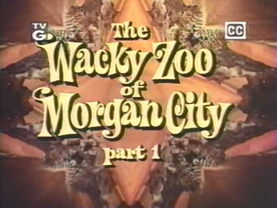 The Wacky Zoo of Morgan City