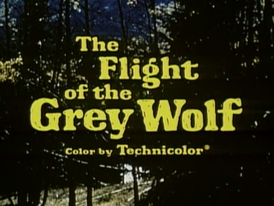 The Flight of the Grey Wolf