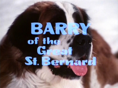 Barry, Le Chien des Alpes